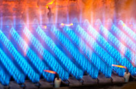 Hamsterley gas fired boilers